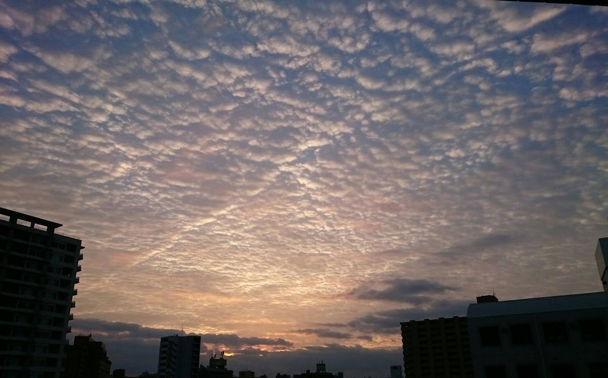 BrenanStaci's tweet photo. 空がめちゃめちゃ綺麗だから撮ったったｗｗｗｗｗｗ https://t.co/ZyIx9br0nQ #まとめ https://t.co/g6XRS1Hyff