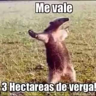 kat16_ac's tweet photo. Eso ea lo q pienso de la gente q me critica jajaja XD https://t.co/W0nXxc4Q6a