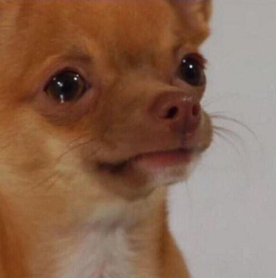 Meninist (@meninisttweet) on Twitter photo 