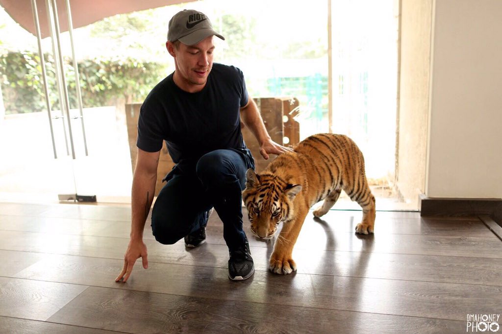 diplo's tweet photo. 🐅 rare pic of me getting bit on my ass by a lion .. Didn't hurt bad and it's a pretty cool injury thanks @BJWTC https://t.co/gZxs97b4yh