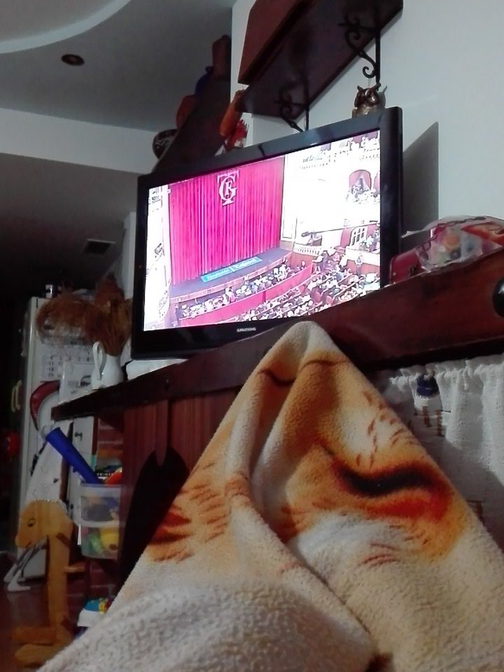 tamaraom87's tweet photo. Resguardada de las lluvias malagueñas con la mejor compañía...los carnavales de Cádiz!!  Vamoss 💪💗🎶 #eltangaiC5 https://t.co/k0QXXwracO