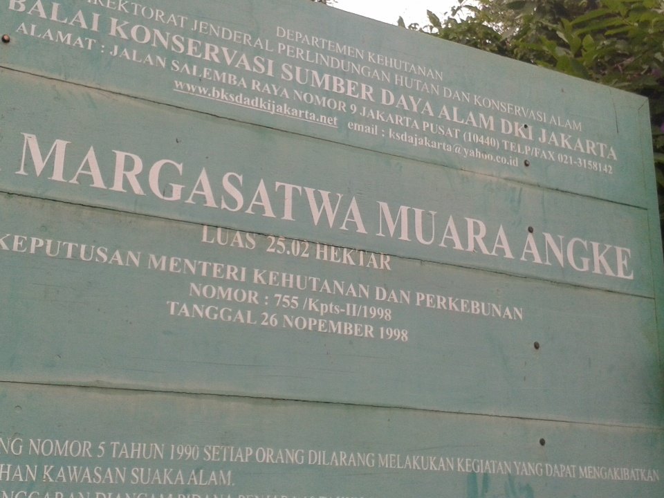 KPBNectarinia's tweet image. cuacanya sejuk yaaa. yuk merapat pengamatan di SMM Angke