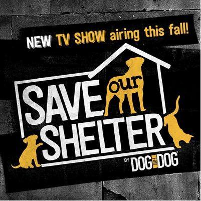 ExactPublicity's tweet photo. CONGRATS to our client @robnorth1775 & @saveourshelter for receiving a Parent’s Choice Award! #exactpublicity #pr https://t.co/IGNeTykfpc