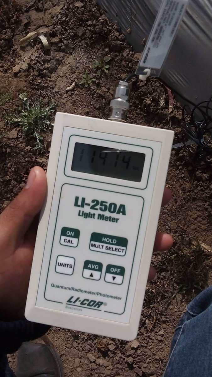 gabryel_2010's tweet photo. @agorajavier 
Práctica de campo https://t.co/VreHFCWYOY