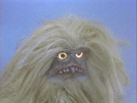 Daily_Funniest's tweet photo. Woke up, looked in the mirror like https://t.co/DrpT9YG1PV