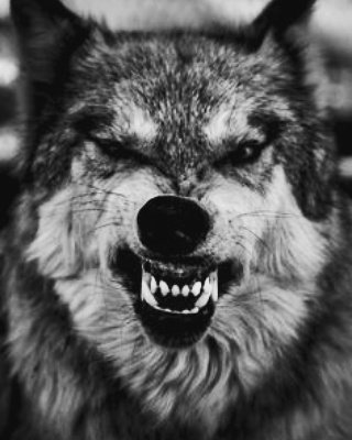 CP_Duffle's tweet image. I ain't playn. Hell u sayn? #omm #cp4l #duffle