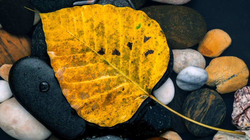 MeditationStars's tweet image. RT  goo.gl/dIuW9d --&amp;gt; Natures Tones: ... #BackgroundMusic #CalmingMusic #DeepSl…