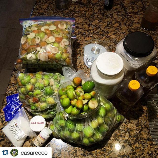 cool #organicwine snap from instagram. instagram.com/p/BBG9Bxnle1k/