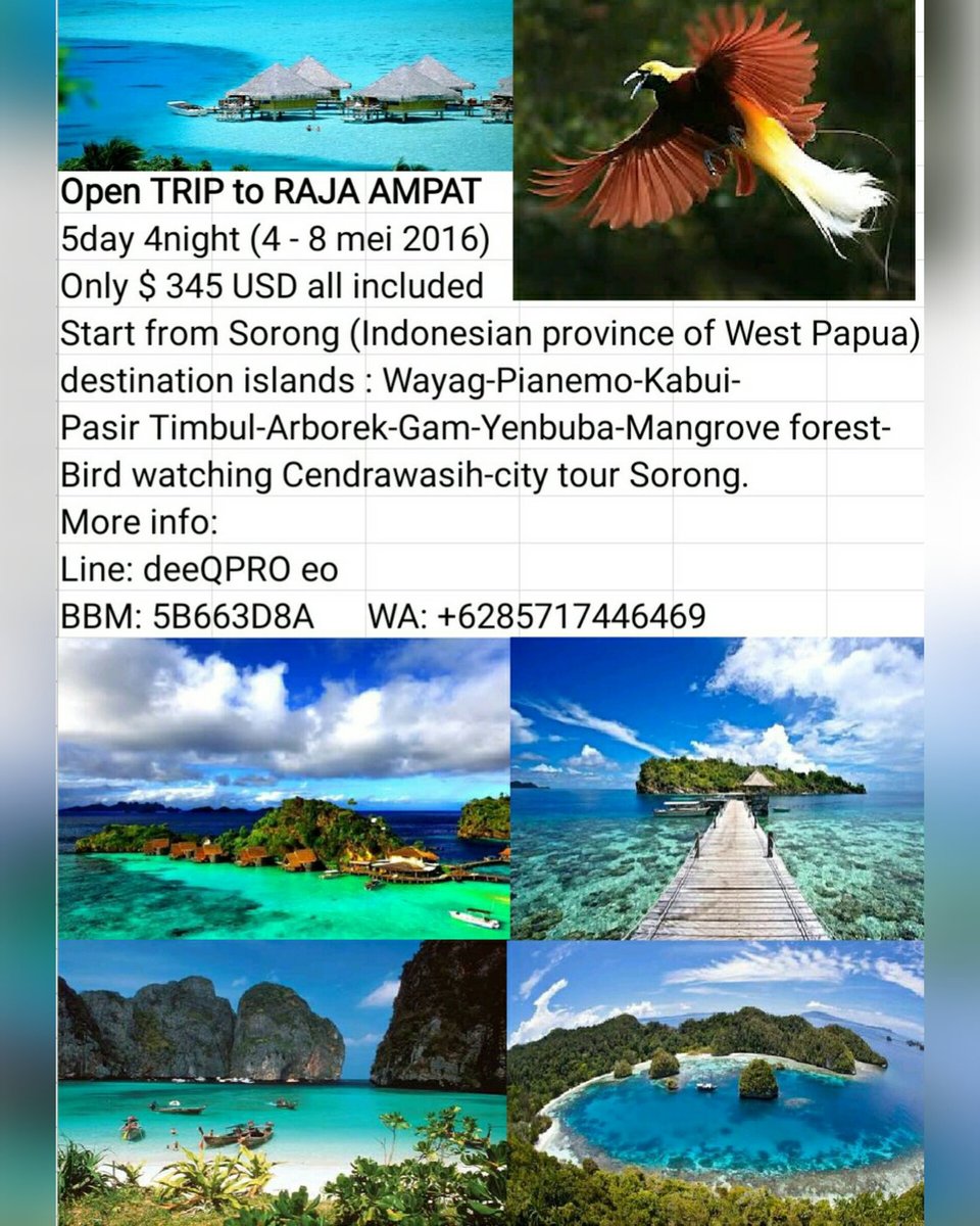 Dee qpro'A tweet media