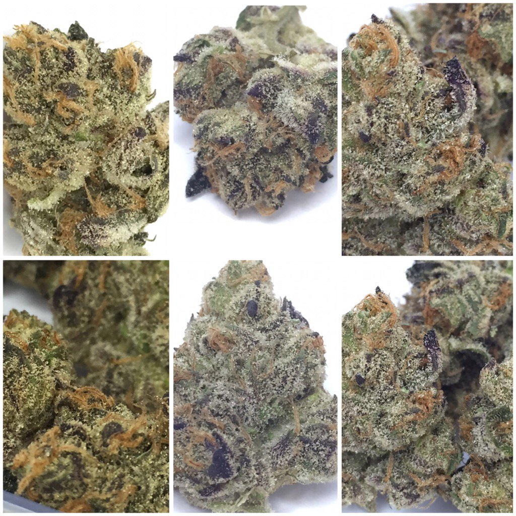 mudbaymeds's tweet photo. 😍😍😍 FORUM COOKIES 😤 #gsc #girlscoutcookies https://t.co/OnjLoSDBqe