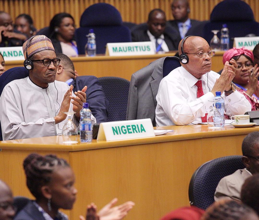 PMB with Zuma Embedded image permalink