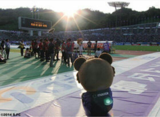 Arca アルカ Tlがサンフレ町田樹祭り Jリーグのマスコット総選挙やってるんですね サンフレッチェ広島 さん フレッチェちゃん サポーターの皆様には本当に感謝 サンチェくんもありがとうね 総選挙がんばって サンチェｊマスコット総選挙