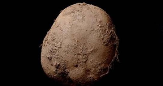 soundtecdigital's tweet photo. OJO "Preparados xa Morir"? #DeENVIDIA @DESPERTADOR987 
No,no es el asteroide 2003 SD220 Es una patata d1 millón de € https://t.co/jvIqOQnOf6