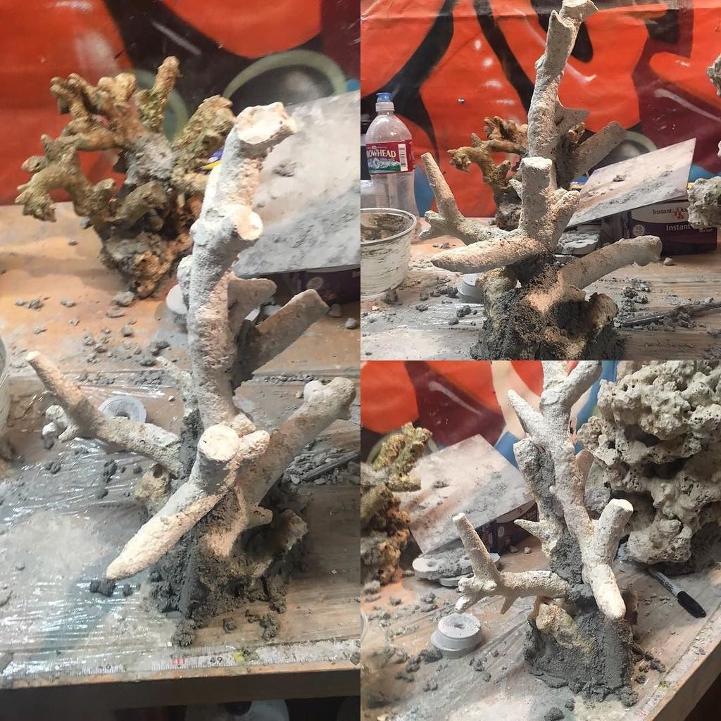 Akvaristan's tweet photo. #akvaristan #aquarium #akvaryum #aquarien Little Tonga Tree for a seahorse tank...
#rockinyourreef #reeftank #reefd… https://t.co/Ym2QLyfUnd