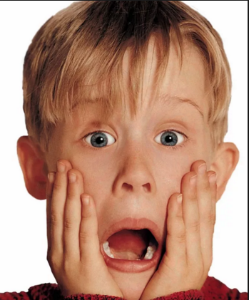 Home Alone Home Alone