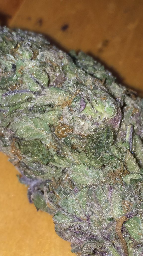 Weed Pics™ tweet media