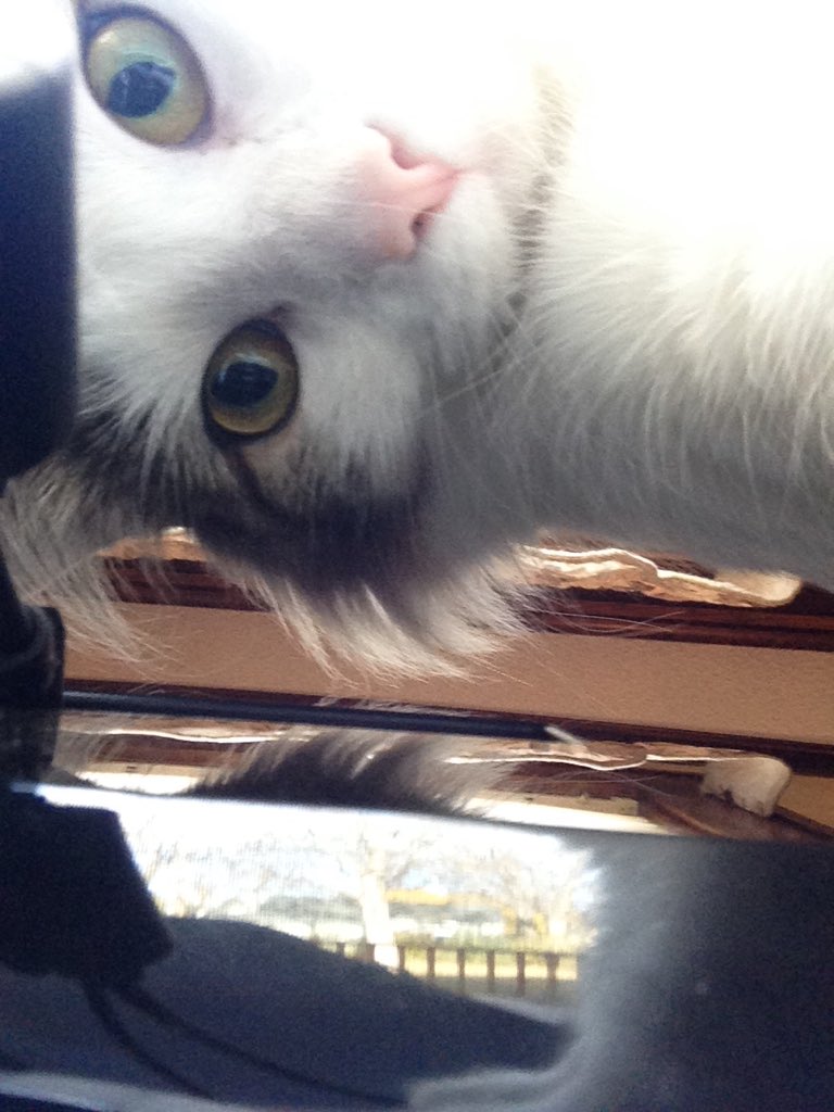 Kacy_A's tweet photo. This is what the world looks like looking up https://t.co/dWq0LNF1fN