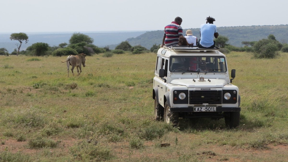 GrevysRally's tweet photo. #funinthewild as teams head out to #spot & #photograph the Grevy's they
see! #rallly4grevys #conservationinkenya https://t.co/zvDq9FND9x