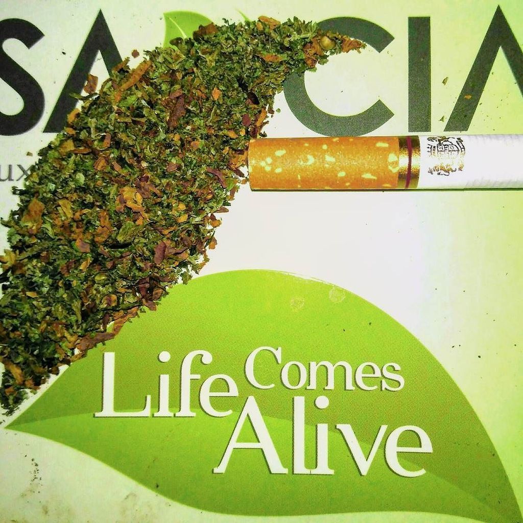 _chroniclady's tweet photo. Life comes #alive
#weed #weekend #cannabis #indica #mediaorb by mediaorb #cannabis https://t.co/ZVGOBzDHP8