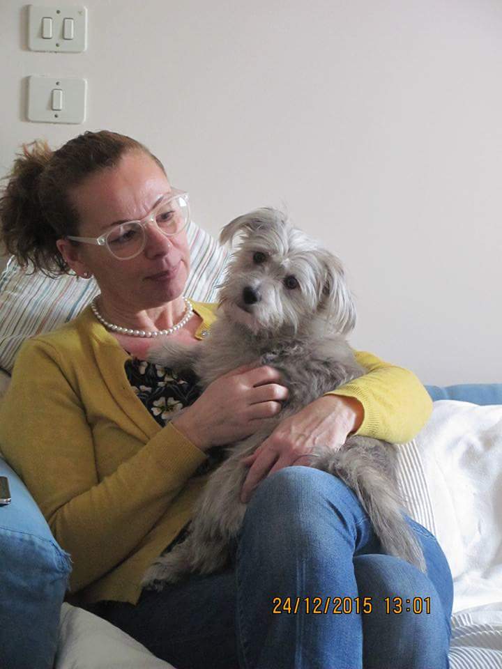 Eccoci! <a href="/chiapuppy/">Chia - la piccina</a> insostituibile parte della famiglia! #dogfamilyday <a href="/CostanzaRdO/">Costanza R.d'O.</a> #micicivili