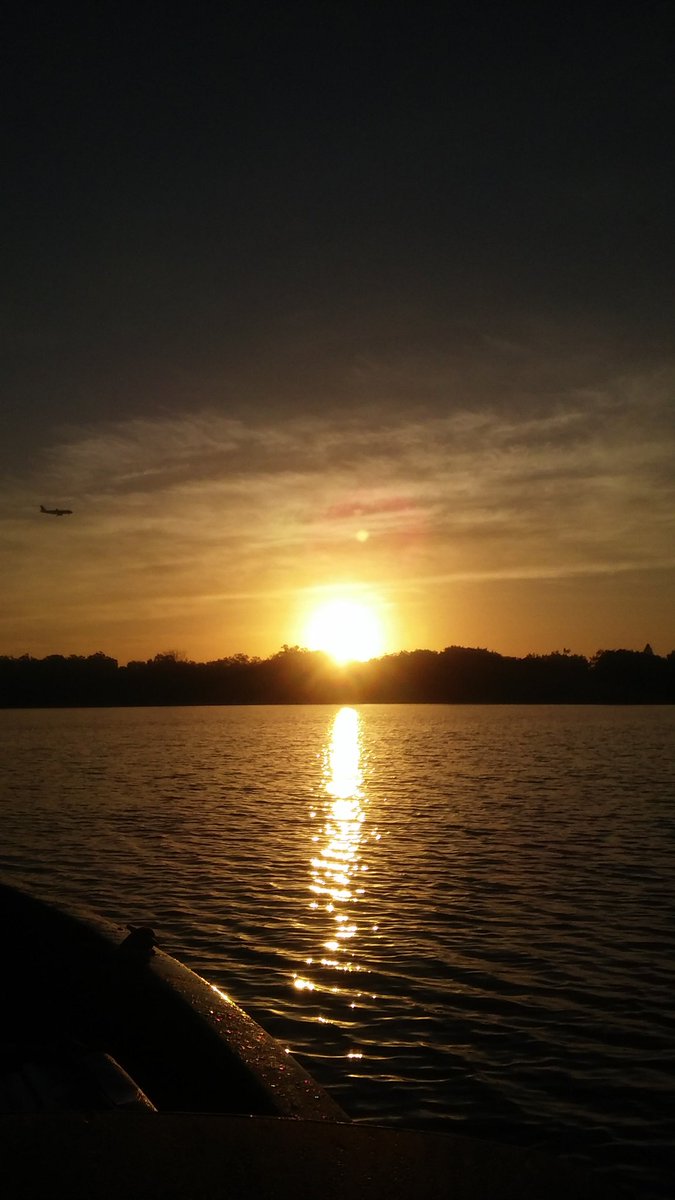 grissomstreesvc's tweet photo. @MyNews13 keep the rain away!! Sunrise #lakeconway #grissomstreeservices #centralflorida #Orlando #treeremoval https://t.co/E9rBAVz64K