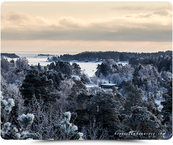 kaikkionjo's tweet photo. #finland #landscape Henrietta Hassinen https://t.co/IKmcqW1Vxv https://t.co/4huampY4YD