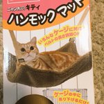 猫用ハンモックを猫が間違って使った結果!