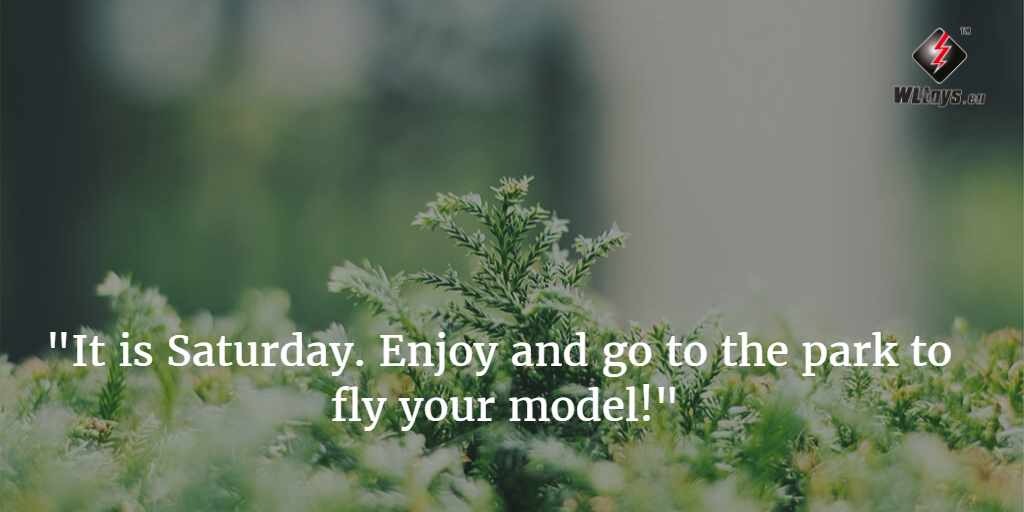 Have a good weekend guys! Enjoy your flights, take a video and share it with us =) #quadcopter #RChelicopter #wltoys