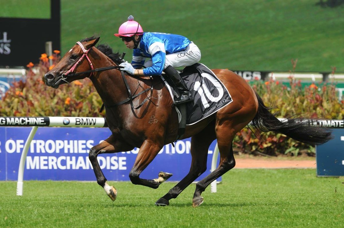RTW888's tweet photo. HONESTY PREVAILS wins the Widden Stakes @rosehillgardens,Super ride Jason Collett & a great team effort! #widdenstud https://t.co/EFr32pyP4I