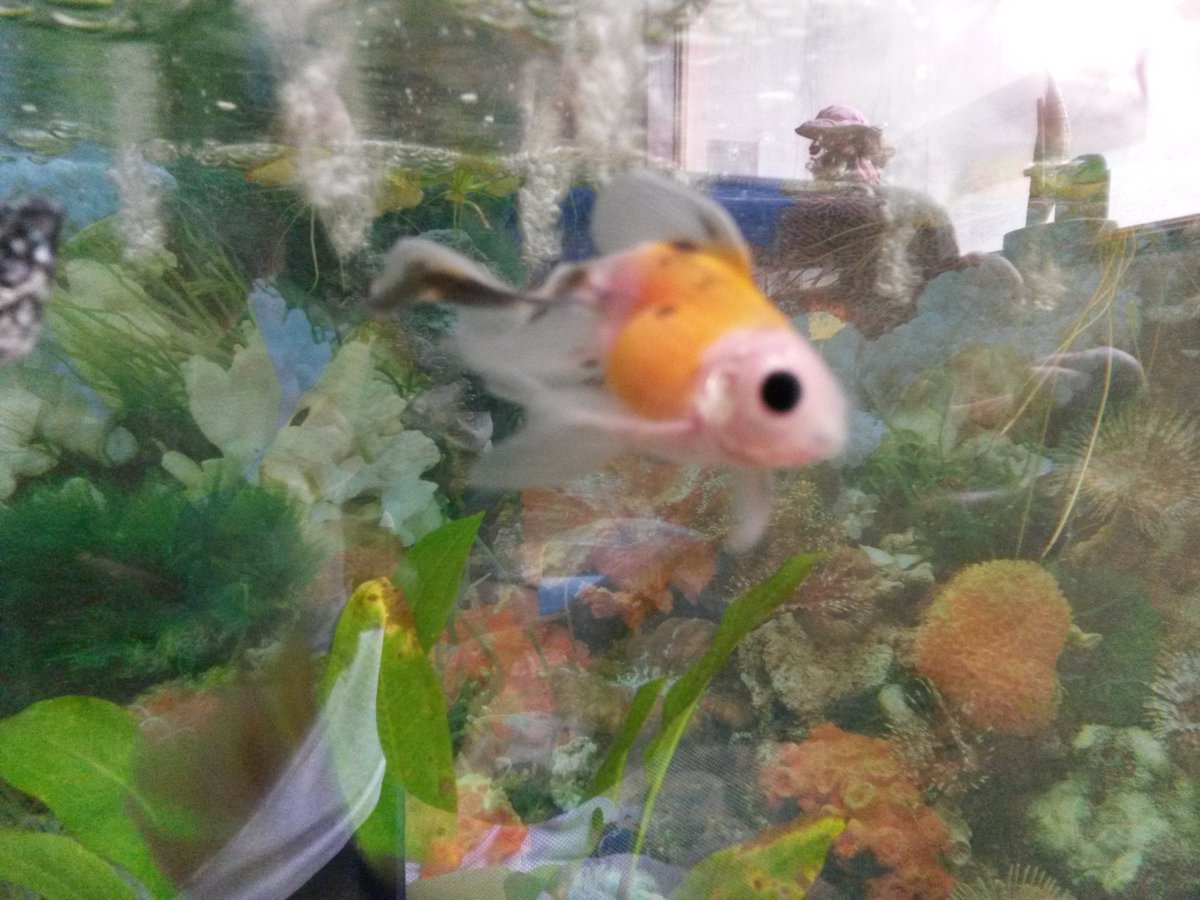 marixatorres1's tweet image. #PREMIOSVLOGGER #PV08 yo tambien le dare retwuit.