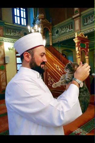 愛溢れる行動に感動・・猫を守る紳士がいた！