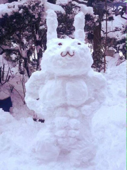 Sol_960424's tweet image. @BTS_twt  이게 허구가 아니라 사실이었군요 #전정국 #근육토끼