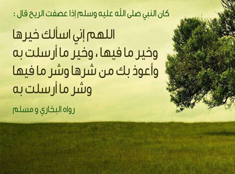 khaledalgendy's tweet photo. الرياح من سنن الله في الأرض وهي آيه من آيات الله فأعتبروا وإدعوا بما علمنا نبينا ..{صلوا عليه وسلموا تسليما } #دعاء https://t.co/cAI2jpoyVI