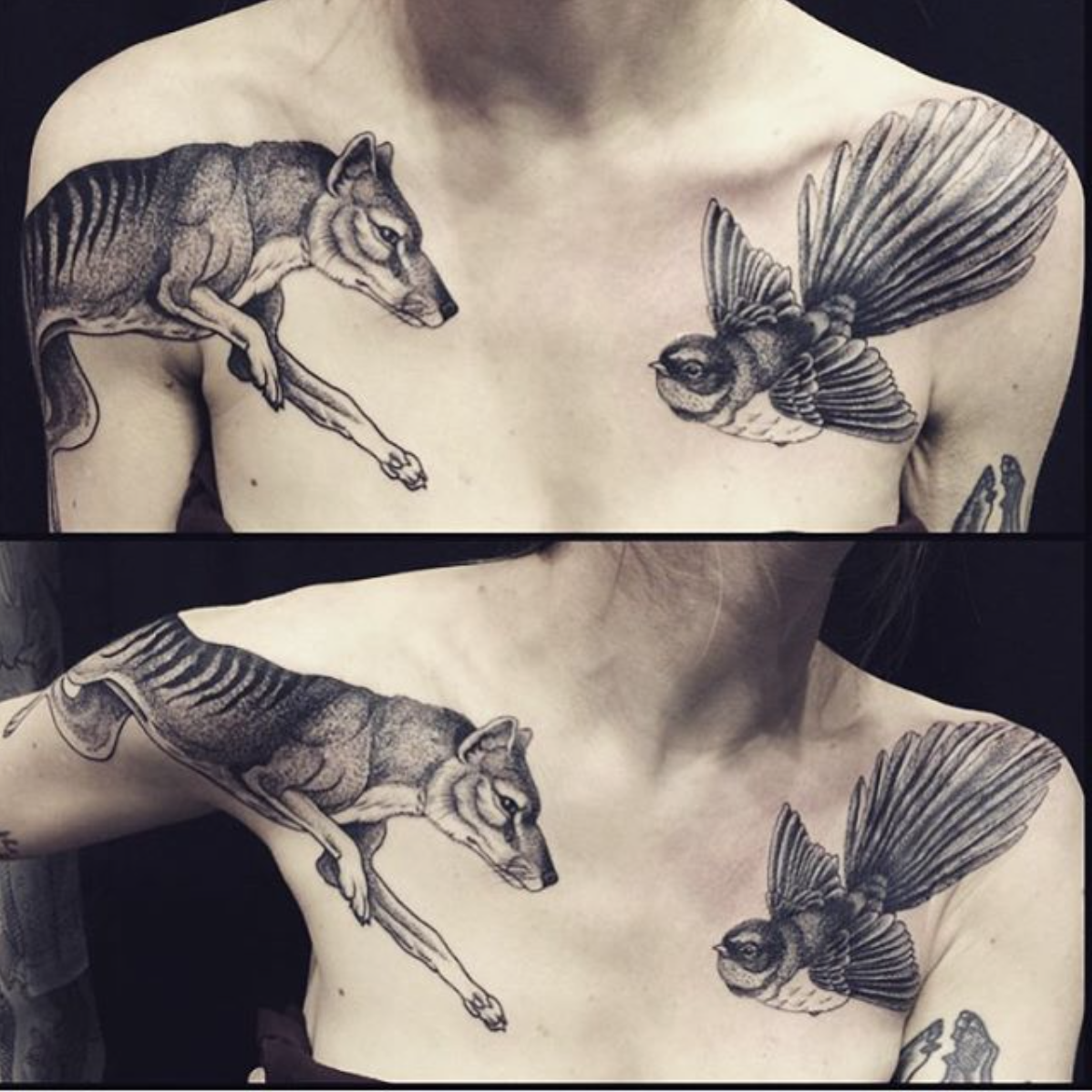 Sorry_Mummy's tweet photo. MAUDDARDEAU https://t.co/X1IhXWvO6I @mauddardeau  #sorrymummytattoo #ink #inked #inkedup #inkegmag #inkedlife https://t.co/axTd2na1QS