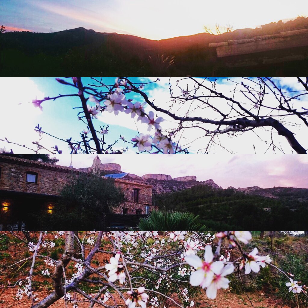 MasMariassa's tweet photo. Els hiverns a #MasMariassa són com d'un altre planeta. 
It's happening in #Pratdip 🌸 https://t.co/aNEodFpKUB