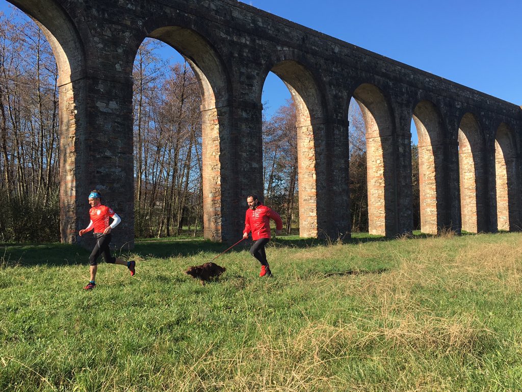 soulrunningMAG's tweet photo. #verticalfaeta #trailmontipisani #1063ad #montepisano #montepisanowild https://t.co/77AfY4W8kQ