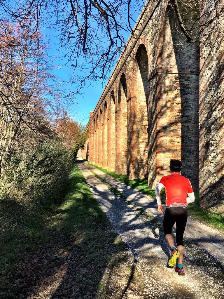 soulrunningMAG's tweet photo. #verticalfaeta #trailmontipisani #1063ad #montepisano #montepisanowild https://t.co/77AfY4W8kQ