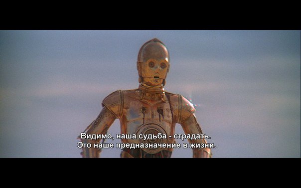 комплементация🕊пива tweet media