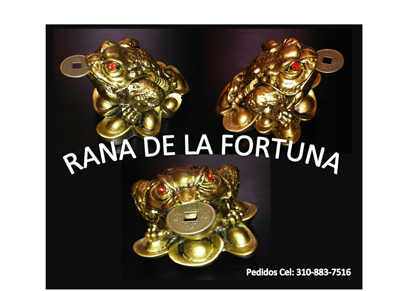 adriaforero60's tweet photo. No dejes de pedir tu rana de la fortuna y tu kit de la abundancia al 3108837516 https://t.co/bzfXTZKqC0