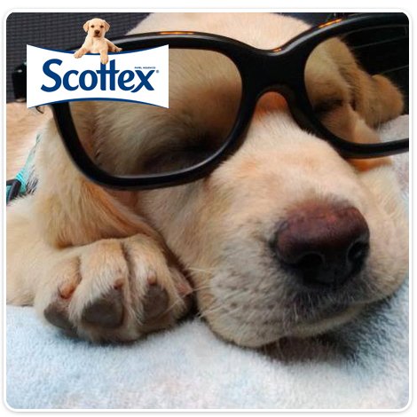 ¡Retwitea si tu también estás así después de UN GRAN FINDE!  ¡Feliz semana con Scottex®!