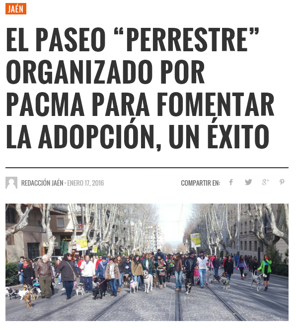 verukawww's tweet photo. #Noticias | #Jaén #SanAnton2016
Éxito Paseo Pro-adopción 👍@PacmaJaen @PartidoPACMA
https://t.co/E330psTcgq

#Adopta https://t.co/I6johDn9kH