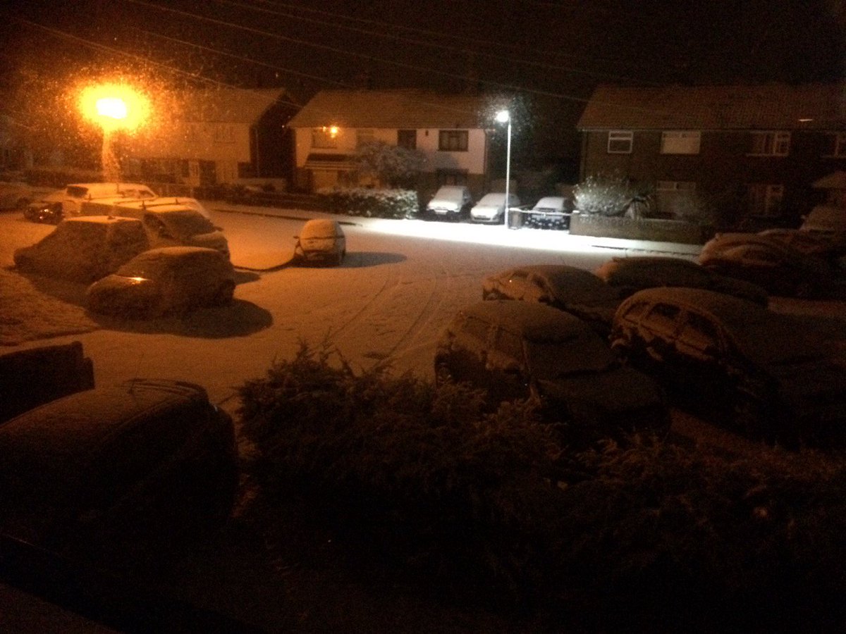 TalTracy's tweet image. Lush