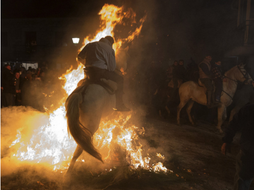 PartidoPACMA's tweet photo. Ávila celebró este sábado sus Luminarias: caballos obligados a pasar por encima del fuego https://t.co/DdCMTgJEKD https://t.co/TrYcIGjy4H