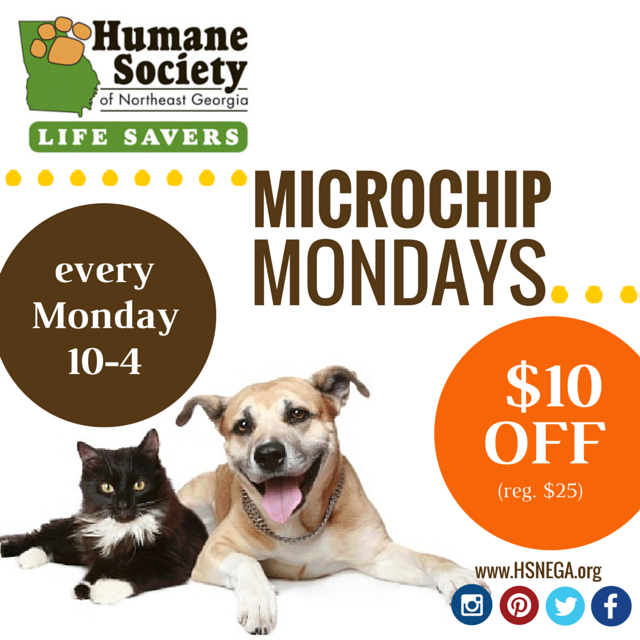 HSNEGA's tweet image. #MicrochipMonday: 10-4pm today reduced microchips for #animals. Stop by for $15 microchips ow.ly/XdI2a