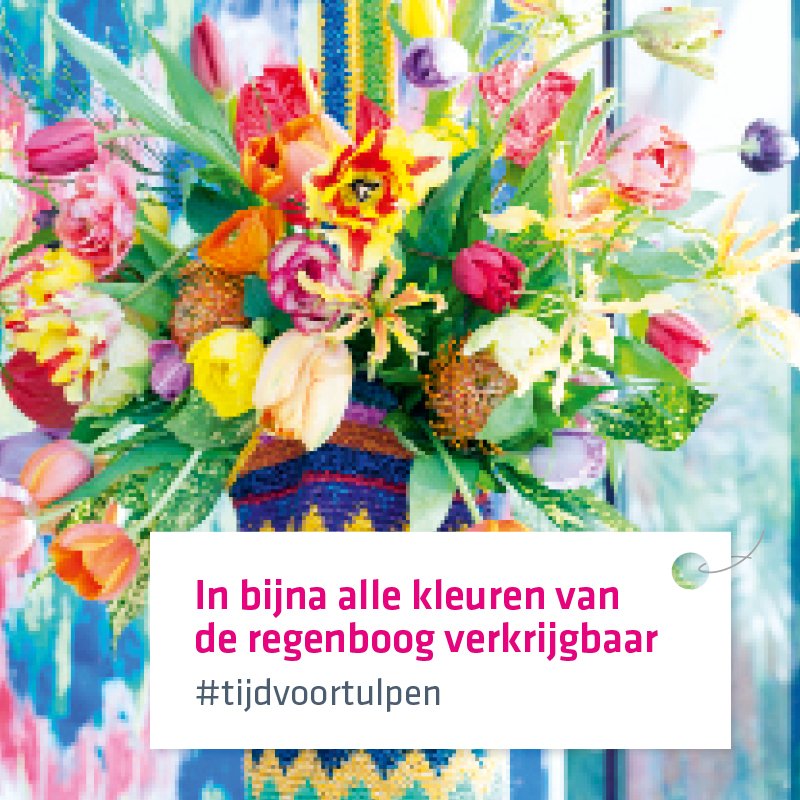 Hoezo Blue Monday? Begin de week vrolijk met een prachtig #tulpenboeket#bluemonday #tijdvoortulpen