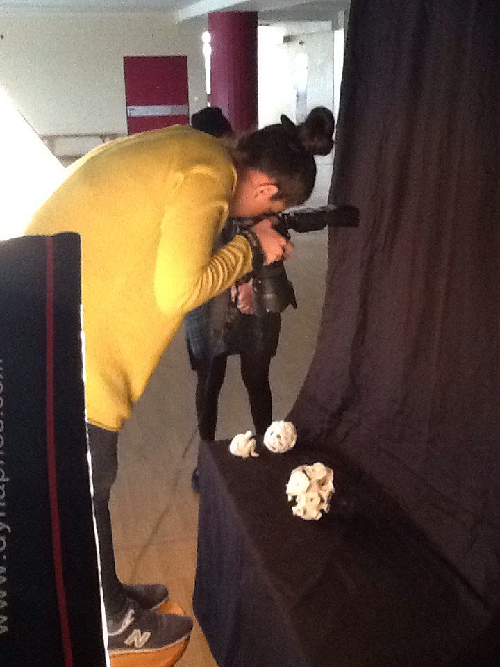 Art & Design Dep. tweet media