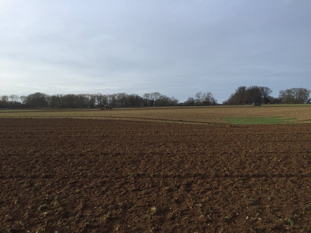 rolfejoe's tweet photo. Nice to finally be dry enough to start some cultivations this week #crackon2016 https://t.co/NdtMIxFgWL
