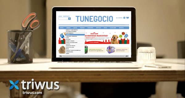 Triwus's tweet photo. Ayudas 2016 de la Xunta para creación de webs de venta y corporativas. 50% hasta 6.000€.  https://t.co/qkIba2Yafy https://t.co/6R6kwTGgTH