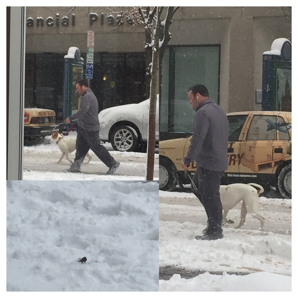 chrsbakr's tweet photo. This guy's dog just pooped on the sidewalk then he walked away, letting it get buried in snow. #watchdogreporting https://t.co/tVswXPaqIr