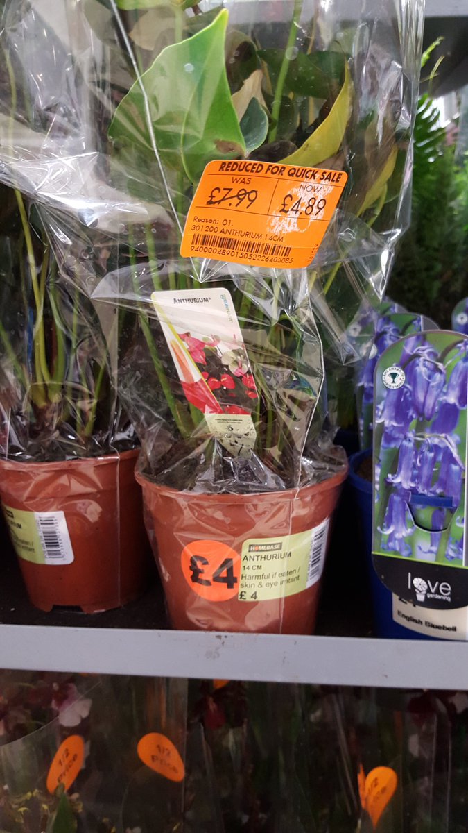 SWChris's tweet photo. Saw this bargain in Homebase, not sure that's how discounts are supposed to work... #pricingfail https://t.co/i5sY2QmqDM